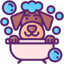 dog-1